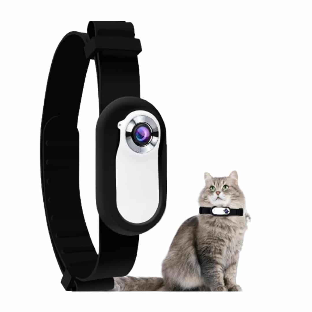 Top 5 Cat Collar Cameras in 2025 – BestBuyPick Reviews