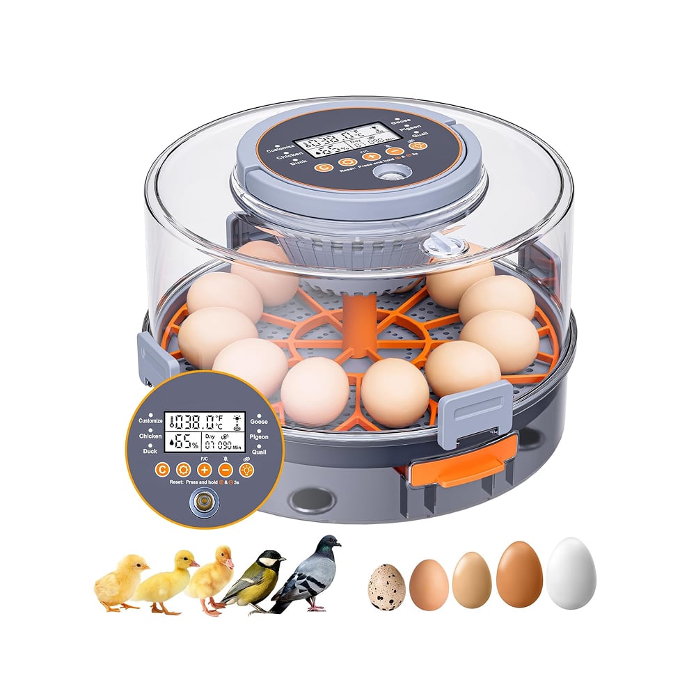 Incubateur Automatique Pour 24 œufs De Poule/96 Oiseaux, Plateau Tournant, Poulets, Canards, Volaille, équipement D'incubation 220V/110V/12V