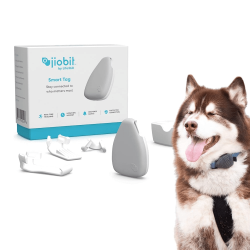 best-dog-gps-collar-02