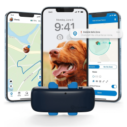 best-dog-gps-collar-03
